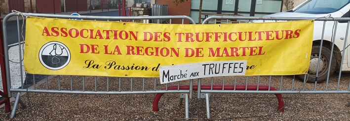 1 affiche.jpg